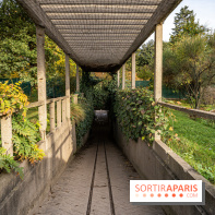 Le Jardin Alpin caché du Jardin des Plantes