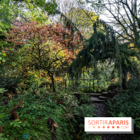 Le Jardin Alpin caché du Jardin des Plantes
