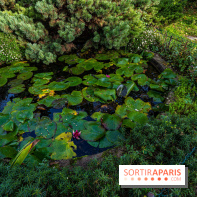 Le Jardin Alpin caché du Jardin des Plantes