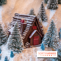 La Bûche de Noël du Plaza Athénée 2022 : le Chalet du Plaza - bûche chocolat