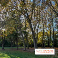 Issy - parc de l'île Saint Germain et Tour aux figures 