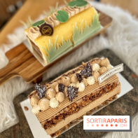 Bûches de Noël végétales des maisons Landemaine et Land&Monkeys