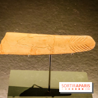 Arts et Préhistoire, l'exposition de peintures rupestres au Musée de l'Homme - nos photos