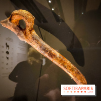 Arts et Préhistoire, l'exposition de peintures rupestres au Musée de l'Homme - nos photos