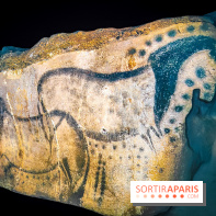 Arts et Préhistoire, l'exposition de peintures rupestres au Musée de l'Homme - nos photos