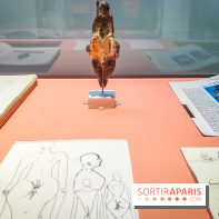 Arts et Préhistoire, l'exposition de peintures rupestres au Musée de l'Homme - nos photos