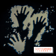 Arts et Préhistoire, l'exposition de peintures rupestres au Musée de l'Homme - nos photos