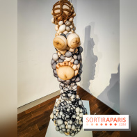 Arts et Préhistoire, l'exposition de peintures rupestres au Musée de l'Homme - nos photos