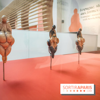 Arts et Préhistoire, l'exposition de peintures rupestres au Musée de l'Homme - nos photos