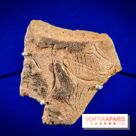 Arts et Préhistoire, l'exposition de peintures rupestres au Musée de l'Homme - nos photos