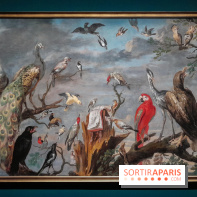 Musicanimale, l'exposition à la Philharmonie