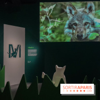 Musicanimale, l'exposition à la Philharmonie