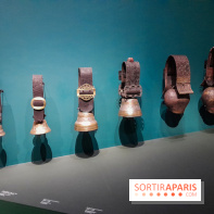 Musicanimale, l'exposition à la Philharmonie