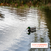 Abbaye de Maubuisson visuels