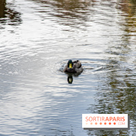 Abbaye de Maubuisson visuels
