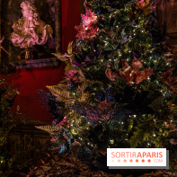 Noël à Vaux-le-Vicomte 2022, les 400 ans de la naissance de Molière - décorations de Noël