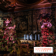 Noël à Vaux-le-Vicomte 2022, les 400 ans de la naissance de Molière - décoration de Noël