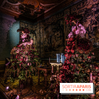 Noël à Vaux-le-Vicomte 2022, les 400 ans de la naissance de Molière décoration de Noël