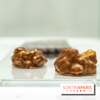 Jade Genin Chocolaterie Paris, les photos  - rocher chocolat lait
