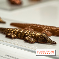 Jade Genin Chocolaterie Paris, les photos - crocodile praliné