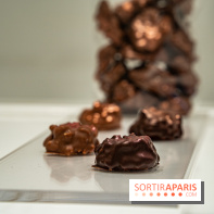 Jade Genin Chocolaterie Paris, les photos  - rocher chocolat