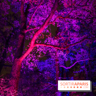 Illuminations de Noël 2022 : les Sentiers Lumineux de Noël au Parc Floral - nos photos