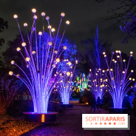 Illuminations de Noël 2022 : les Sentiers Lumineux de Noël au Parc Floral - nos photos