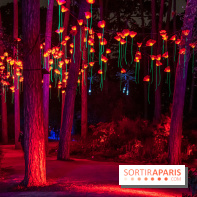 Illuminations de Noël 2022 : les Sentiers Lumineux de Noël au Parc Floral - nos photos