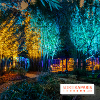 Illuminations de Noël 2022 : les Sentiers Lumineux de Noël au Parc Floral - nos photos