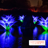 Illuminations de Noël 2022 : les Sentiers Lumineux de Noël au Parc Floral - nos photos