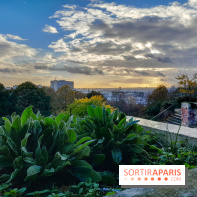 Visuels - Parc de Belleville en automne 