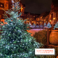 Réveillon de Noël et du Nouvel an au Parc Astérix 