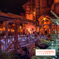 Réveillon de Noël et du Nouvel an au Parc Astérix 