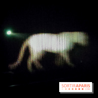 OSNI 2, le mythe parfumé : l'expérience immersive et olfactive envoûtante de la maison Cartier