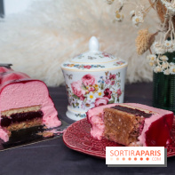 Les bûches de Noël 2022 d'oh oui!, la pâtisserie sans sucres IG bas- buche fruits rouges