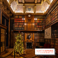 Château de Chantilly Noël 2022 - cabinet des livres