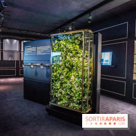 Exposition Le Grand Numéro de Chanel au Grand Palais Éphémère à Paris - senteurs - rose