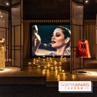 Exposition Le Grand Numéro de Chanel au Grand Palais Éphémère à Paris- robe - publicité - spot publicitaire