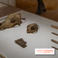 Picasso et la Préhistoire, les photos de l'exposition au Musée de l'Homme