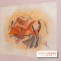 Picasso et la Préhistoire, les photos de l'exposition au Musée de l'Homme