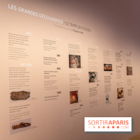 Picasso et la Préhistoire, les photos de l'exposition au Musée de l'Homme
