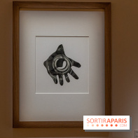 Picasso et la Préhistoire, les photos de l'exposition au Musée de l'Homme