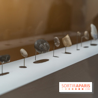 Picasso et la Préhistoire, les photos de l'exposition au Musée de l'Homme