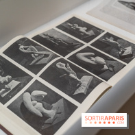 Picasso et la Préhistoire, les photos de l'exposition au Musée de l'Homme