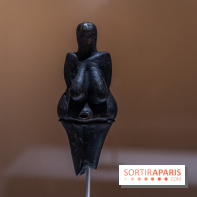 Picasso et la Préhistoire, les photos de l'exposition au Musée de l'Homme