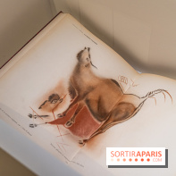 Picasso et la Préhistoire, les photos de l'exposition au Musée de l'Homme