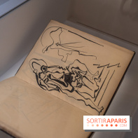 Picasso et la Préhistoire, les photos de l'exposition au Musée de l'Homme