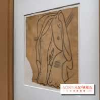 Picasso et la Préhistoire, les photos de l'exposition au Musée de l'Homme