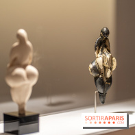 Picasso et la Préhistoire, les photos de l'exposition au Musée de l'Homme