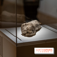 Picasso et la Préhistoire, les photos de l'exposition au Musée de l'Homme